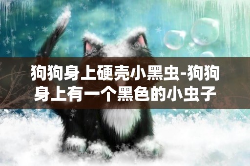 狗狗身上硬殼小黑蟲-狗狗身上有一個黑色的小蟲子