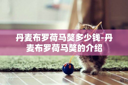 丹麥布羅荷馬獒多少錢-丹麥布羅荷馬獒的介紹