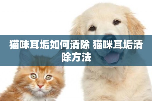 貓咪耳垢如何清除 貓咪耳垢清除方法