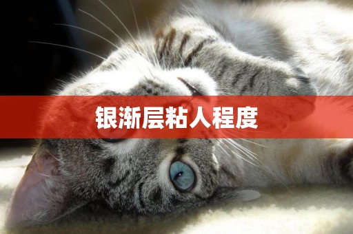 銀漸層粘人程度
