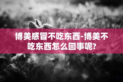 博美感冒不吃東西-博美不吃東西怎么回事呢?