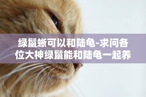 綠鬣蜥可以和陸龜-求問各位大神綠鬣能和陸龜一起養么