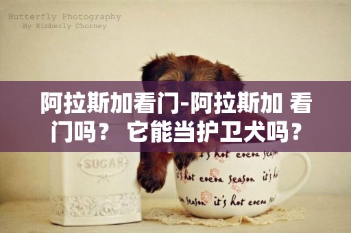 阿拉斯加看門-阿拉斯加 看門嗎？ 它能當護衛犬嗎？
