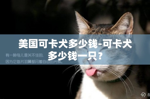 美國可卡犬多少錢-可卡犬多少錢一只？