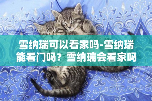 雪納瑞可以看家嗎-雪納瑞能看門嗎？雪納瑞會看家嗎？