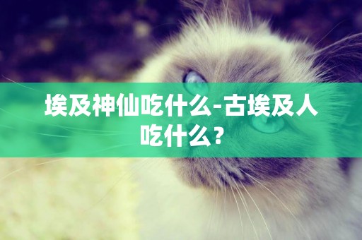 埃及神仙吃什么-古埃及人吃什么？