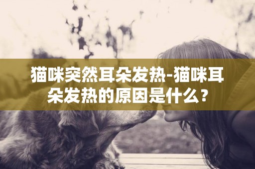 貓咪突然耳朵發熱-貓咪耳朵發熱的原因是什么？