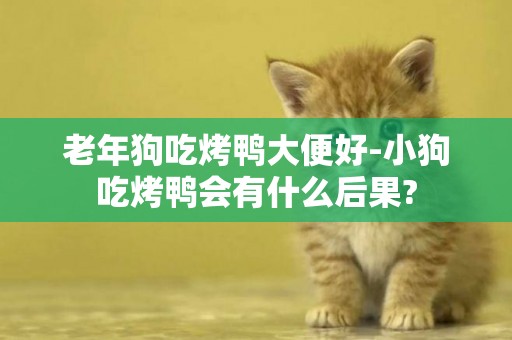 老年狗吃烤鴨大便好-小狗吃烤鴨會有什么后果?