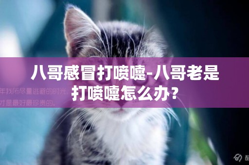 八哥感冒打噴嚏-八哥老是打噴嚏怎么辦？