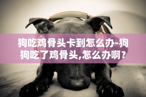 狗吃雞骨頭卡到怎么辦-狗狗吃了雞骨頭,怎么辦啊？