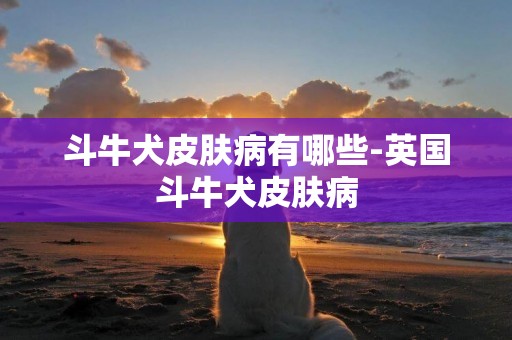 斗牛犬皮膚病有哪些-英國斗牛犬皮膚病