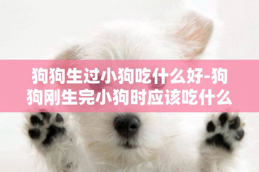 狗狗生過小狗吃什么好-狗狗剛生完小狗時應該吃什么?