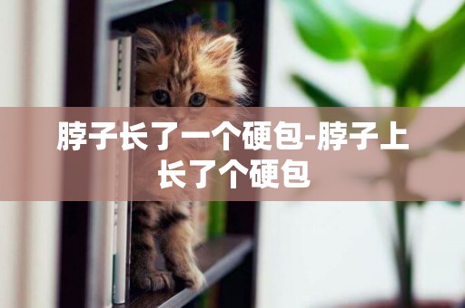 脖子長了一個硬包-脖子上長了個硬包