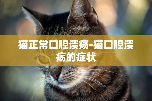 貓正常口腔潰瘍-貓口腔潰瘍的癥狀