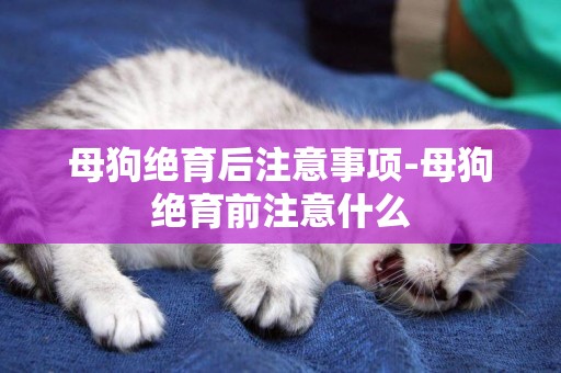 母狗絕育后注意事項-母狗絕育前注意什么