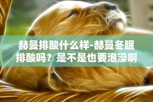 赫曼排酸什么樣-赫曼冬眠排酸嗎？是不是也要泡澡啊