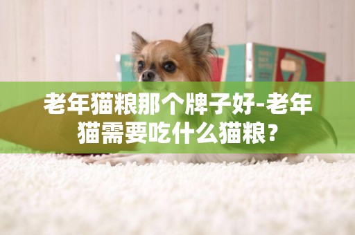 老年貓糧那個牌子好-老年貓需要吃什么貓糧？