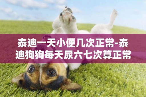 泰迪一天小便幾次正常-泰迪狗狗每天尿六七次算正常嗎