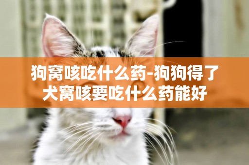狗窩咳吃什么藥-狗狗得了犬窩咳要吃什么藥能好