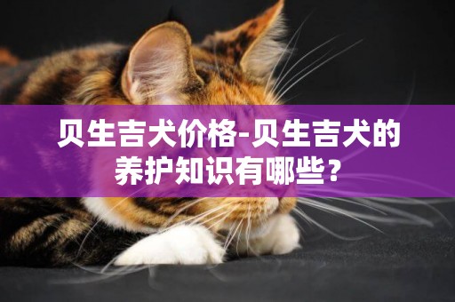 貝生吉犬價格-貝生吉犬的養護知識有哪些？