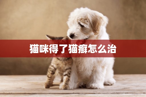 貓咪得了貓癬怎么治
