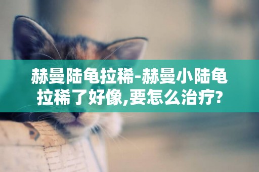 赫曼陸龜拉稀-赫曼小陸龜拉稀了好像,要怎么治療?