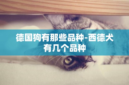 德國狗有那些品種-西德犬有幾個品種