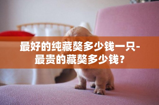 最好的純藏獒多少錢一只-最貴的藏獒多少錢？