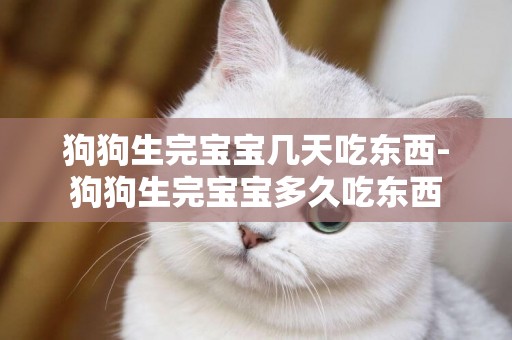 狗狗生完寶寶幾天吃東西-狗狗生完寶寶多久吃東西