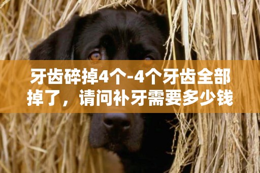 牙齒碎掉4個-4個牙齒全部掉了，請問補牙需要多少錢