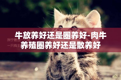 牛放養好還是圈養好-肉牛養殖圈養好還是散養好