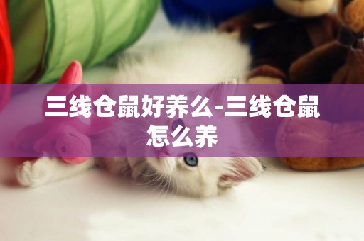 三線倉鼠好養么-三線倉鼠怎么養