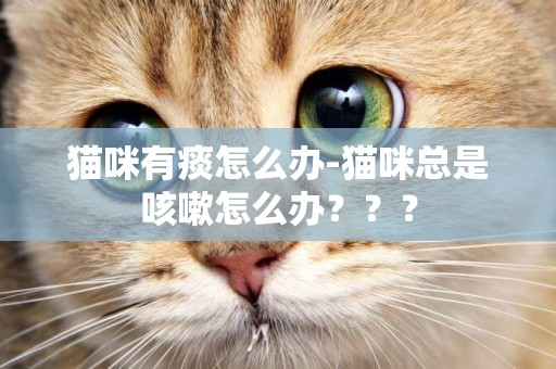 貓咪有痰怎么辦-貓咪總是咳嗽怎么辦？？？