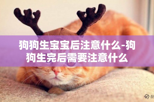 狗狗生寶寶后注意什么-狗狗生完后需要注意什么