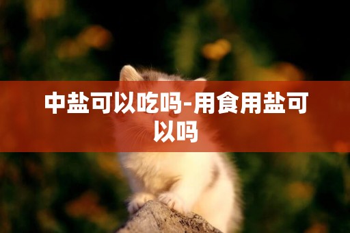 中鹽可以吃嗎-用食用鹽可以嗎