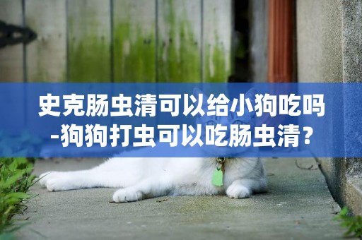 史克腸蟲清可以給小狗吃嗎-狗狗打蟲可以吃腸蟲清？