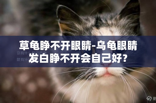 草龜睜不開眼睛-烏龜眼睛發白睜不開會自己好？