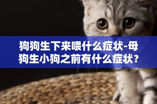 狗狗生下來喂什么癥狀-母狗生小狗之前有什么癥狀？