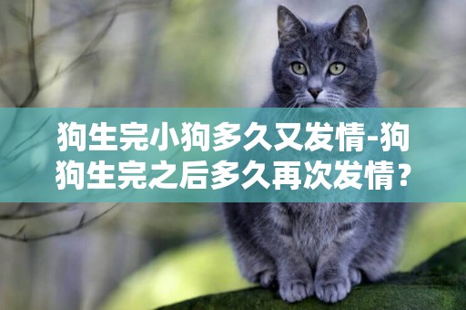 狗生完小狗多久又發情-狗狗生完之后多久再次發情？