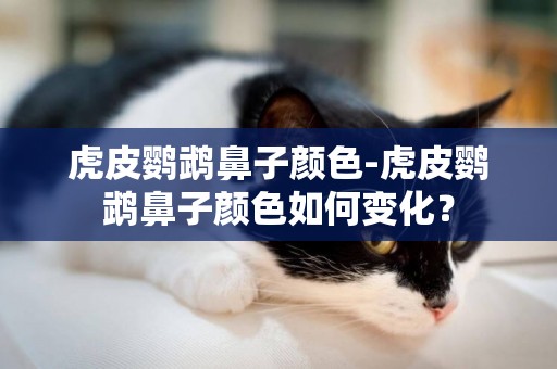 虎皮鸚鵡鼻子顏色-虎皮鸚鵡鼻子顏色如何變化？