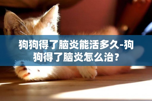 狗狗得了腦炎能活多久-狗狗得了腦炎怎么治？