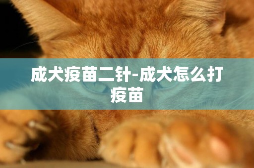 成犬疫苗二針-成犬怎么打疫苗