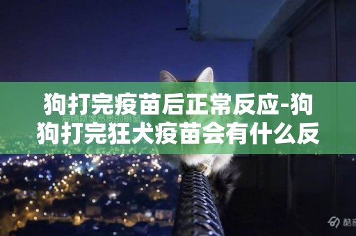 狗打完疫苗后正常反應-狗狗打完狂犬疫苗會有什么反應