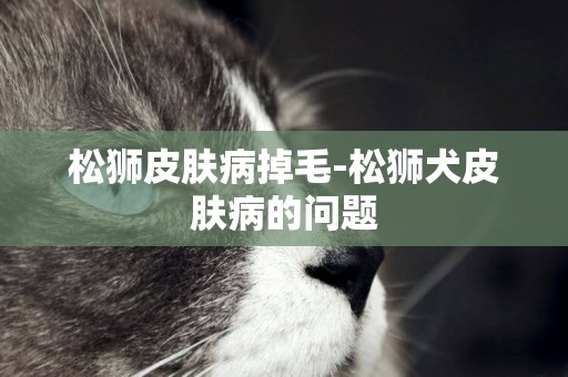 松獅皮膚病掉毛-松獅犬皮膚病的問題