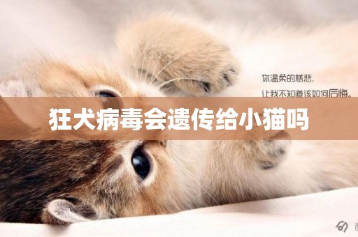 狂犬病毒會遺傳給小貓嗎