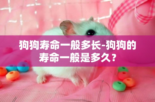 狗狗壽命一般多長-狗狗的壽命一般是多久？
