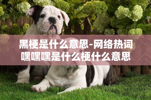 黑梗是什么意思-網絡熱詞嘿嘿嘿是什么梗什么意思