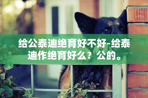 給公泰迪絕育好不好-給泰迪作絕育好么？公的。