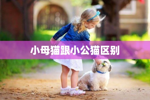 小母貓跟小公貓區別