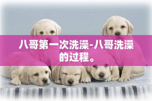 八哥第一次洗澡-八哥洗澡的過程。